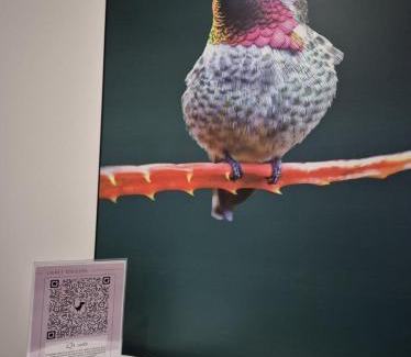 Cholet Apartment | Appartement "Le Colibri" centre Cholet 5pers