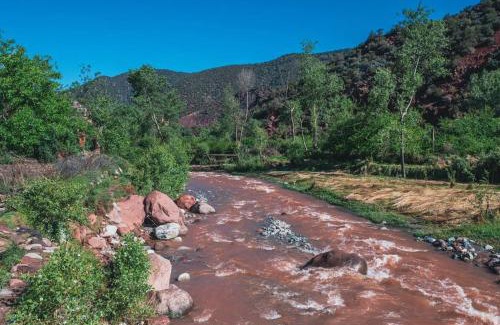 Sti Fadma Apartment | Appartement maison dhôte