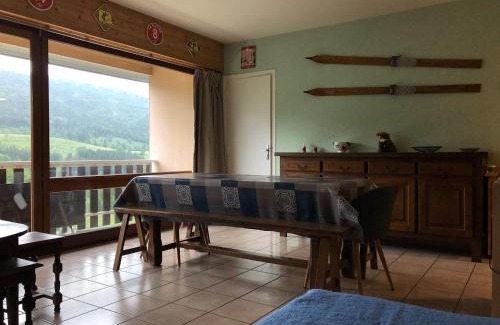 Lelex Apartment | Appartement spacieux tout confort pied des pistes