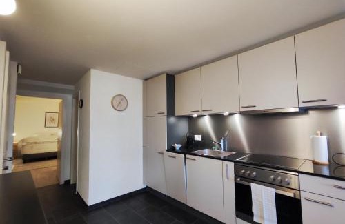 Fribourg Apartment | Appartement tout confort rénové avec vue - Tilleul 5
