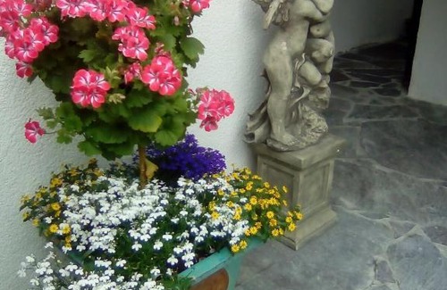 Volderau Apartment | Appartements Fam. Gleinser Mirella