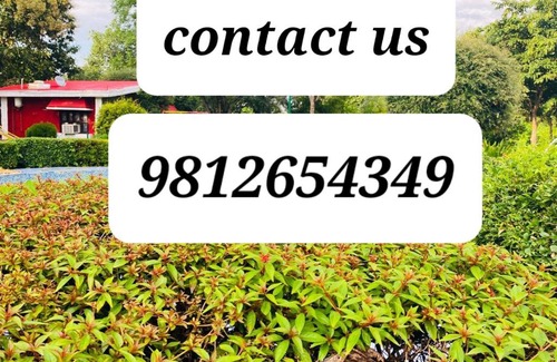 Gurugram Apartment | Apple nice resort Gurugram