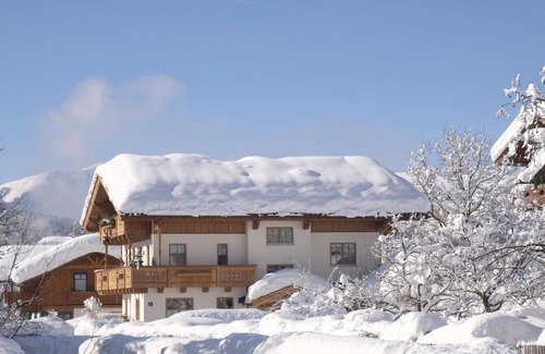 Maria Alm am Steinernen Meer Apartment | Apt. "Bird's Nest", 2 comfortable rooms + eat-in kitchen - Almerde