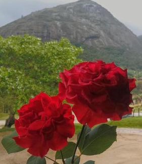 Bonito Apartment | Apt Flat 225 Condomínio Pedra do Rodeadouro