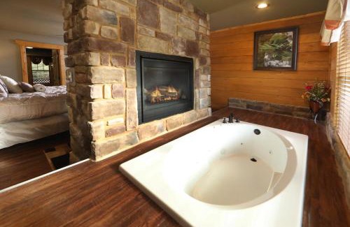 Gatlinburg Ski Chalet | Aqua Paradise by Eden Crest