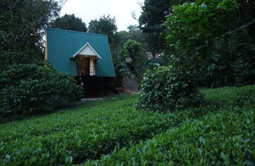 Thankamony part House | Arabian Holiday Resort Family Cottage One Room Two Bed