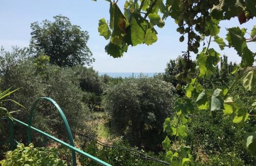 Trebisacce House | Arancetodamare POSEIDONE