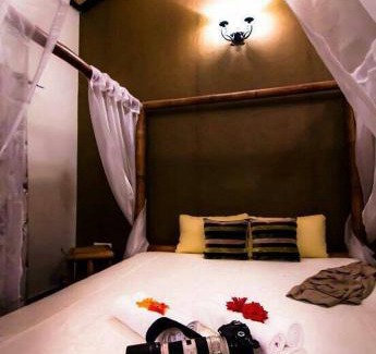 Tala Resort | Aranyak Resort