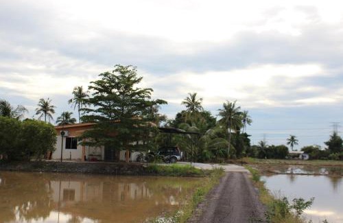 Kampung Hutan Chelong House | Arau Pulau Hilir Home