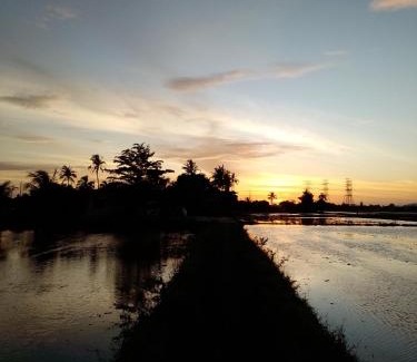 Kampung Hutan Chelong House | Arau Pulau Hilir Home