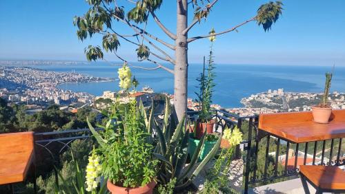 Ghazir Apartment | Arcadia Guesthouses - Ghazir, Lebanon