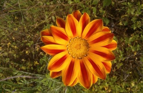 Alghero House | Arcamyrtus