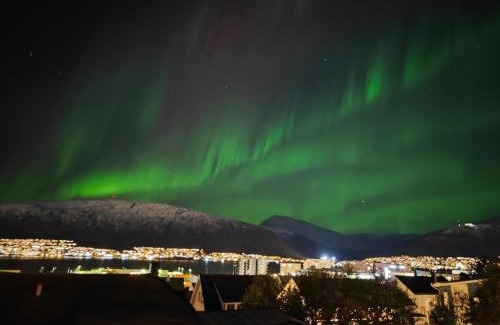 Tromso Apartment | Arctic view - Sentral apartment with free parking