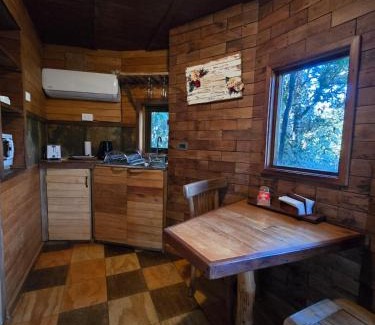 Puerto Varas Cabin | Aremko spa