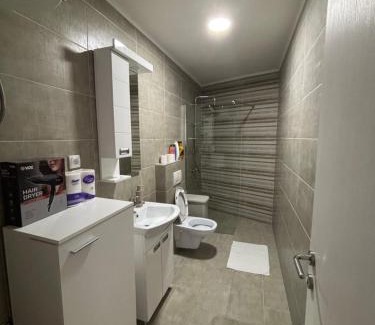 Veliko Gradiste Apartment | Aria