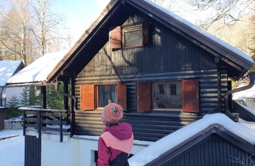 Ilirska Bistrica House | ARIA
