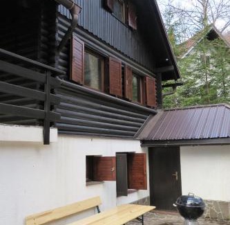 Ilirska Bistrica House | ARIA