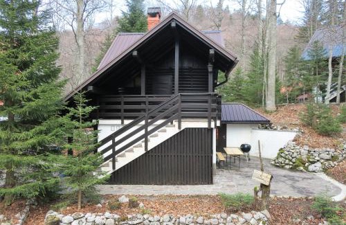 Ilirska Bistrica House | ARIA