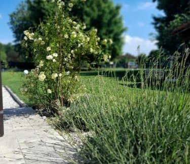 Calderara di Reno Bed & Breakfast | Armonie di Campagna Rooms & Breakfast di Valentini Sabina