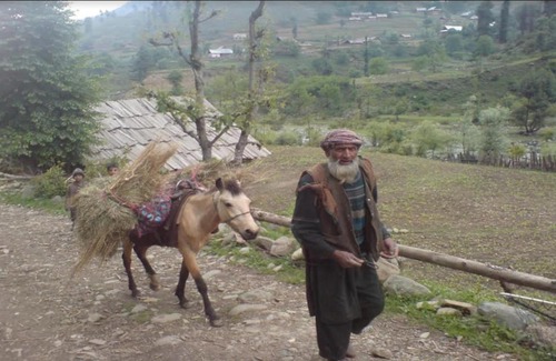 Aru Valley Resort | Aru Camping Resort Aru, J&K