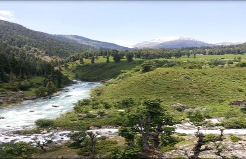 Aru Valley Resort | Aru Camping Resort Aru, J&K