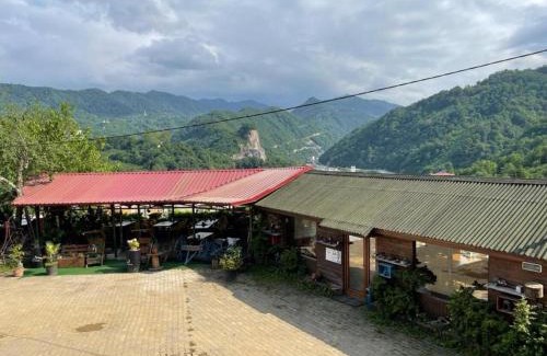 Arakli Bed & Breakfast | ASİL 101 Karadeniz kuş cenneti