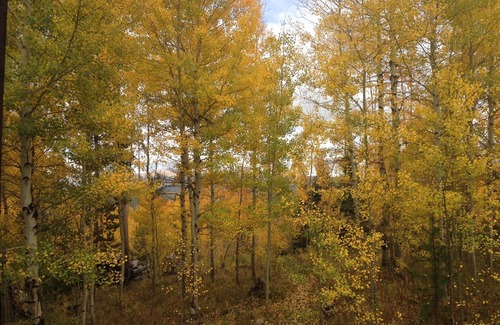Wildernest House | Aspen Grove Retreat, nDuplex Bordering the National Forest near Silverthorne
