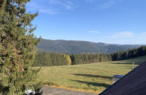 Muhlbach-sur-Munster Apartment | At Léa's cozy little nest