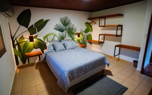 Colon Cabin | Atlantic Side Private Tropical Paradise for 2 - Panama Canal