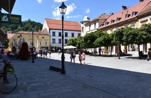 Celje Apartment | Atrij