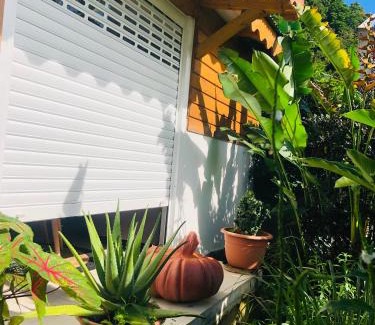 Capesterre-Belle-Eau House | Au cœur des montagnes