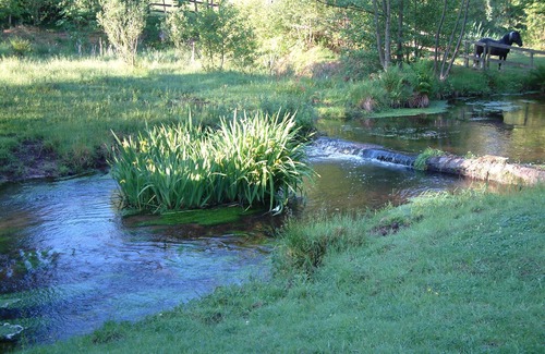 Sparsbach Apartment | Au vieux moulin -apartment 3 in the estate of the old mill in Sparsbach