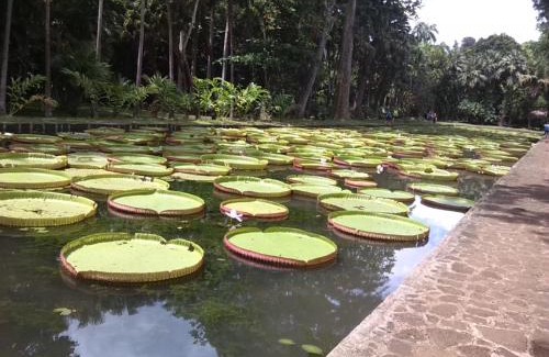 Trou d'Eau Douce Apartment | Auberge Etiennette