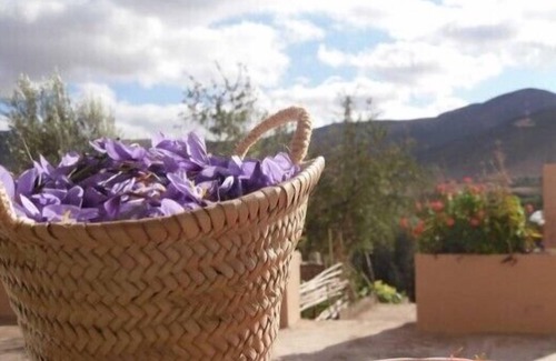 Taliouine Hotel | Auberge Restaurant Le Safran Taliouine