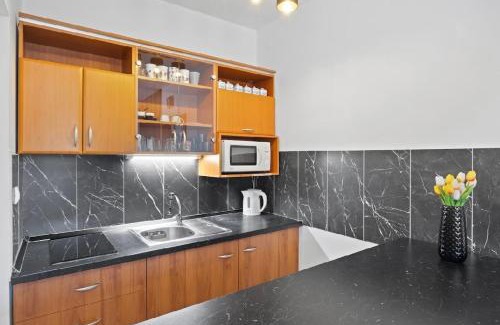 Piestany Apartment | Aura centrum
