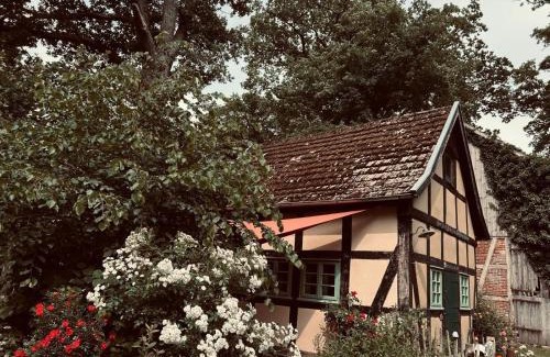 Donstorf House | Auszeit vom Alltag in urigem Ferienhaus in ruhiger, idyllischer Natur im Dümmer-Weserland
