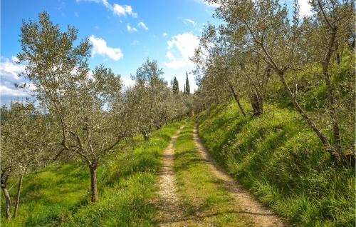 Pulicciano Apartment | Awesome Apartment In Castelfranco Piandiscò