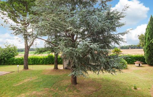 Chiesanuova House | Awesome Home In Cingoli With Wifi