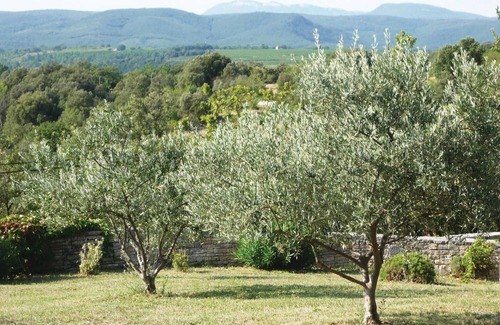 Orgnac-l'Aven House | Awesome home in Orgnac l'Aven with WiFi