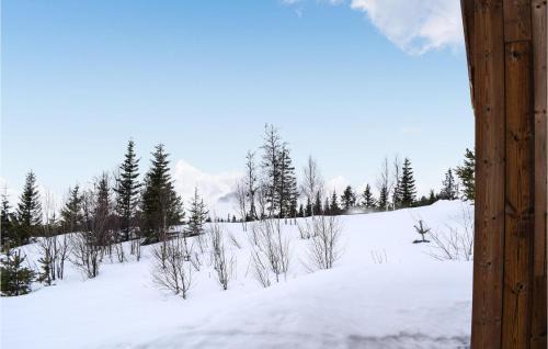 Rauland House | Awesome Home In Rauland With Sauna