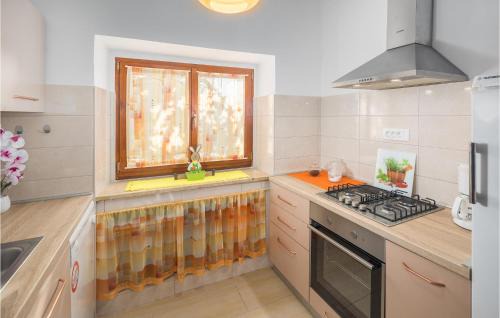 Gracisce House | Awesome Home In Zminj
