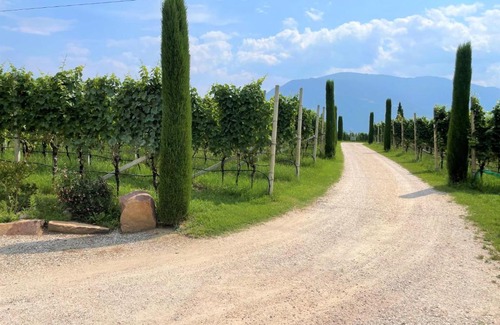 Cornaiano Apartment | Bühel im Gschleier