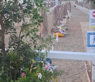 Torre Canne House | B&B A Un Passo dal Mare