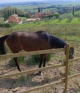 Parrana San Giusto House | B&B Agriturismo Regno di Toscana