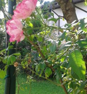 Mortara Bed & Breakfast | B&B Antica Corte Lombarda