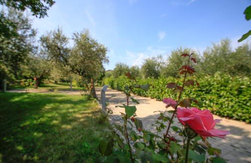 Torrevecchia Teatina Bed & Breakfast | B&B Arli