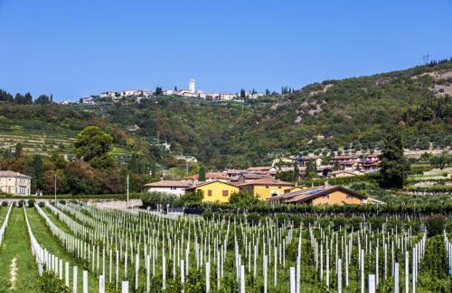 Gargagnago di Valpolicella Bed & Breakfast | B&B Ca' Bernai