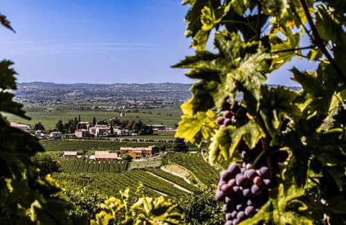 Gargagnago di Valpolicella Bed & Breakfast | B&B Ca' Bernai