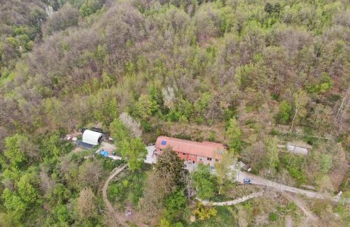 Sale delle Langhe Bed & Breakfast | B&B Cascina Grattinera