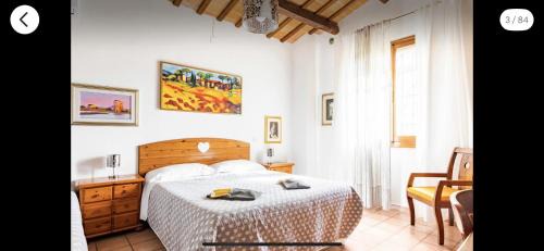 Quartiere Cesuola Bed & Breakfast | B&B Colle Paradiso